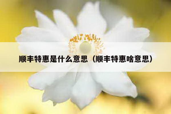 顺丰特惠是什么意思（顺丰特惠啥意思）