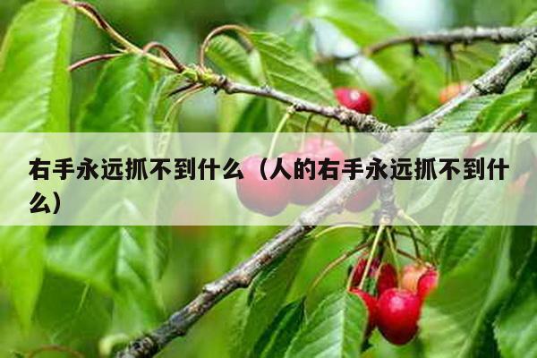 右手永远抓不到什么（人的右手永远抓不到什么）