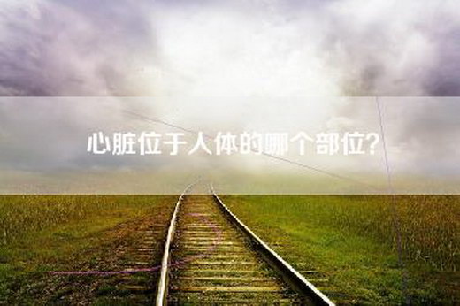 心脏位于人体的哪个部位？