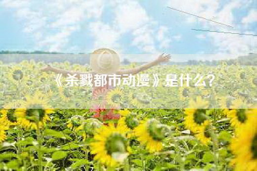 《杀戮都市动漫》是什么？