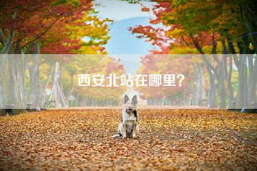 西安北站在哪里？