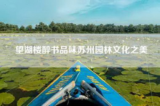 望湖楼醉书品味苏州园林文化之美