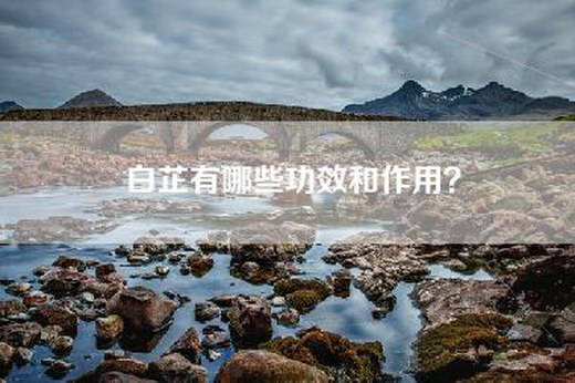 白芷有哪些功效和作用？