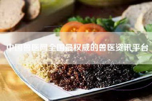 中国兽医网全国最权威的兽医资讯平台