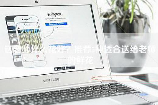 送老师什么花好？推荐5种适合送给老师的鲜花