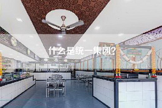 什么是统一集团？