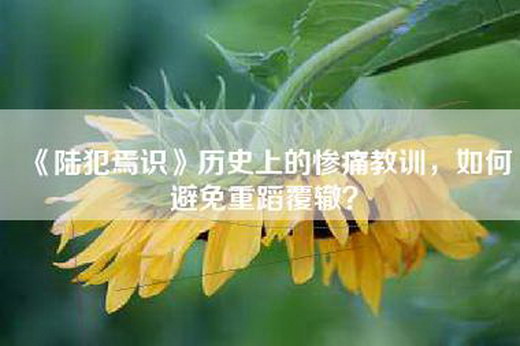 《陆犯焉识》历史上的惨痛教训，如何避免重蹈覆辙？
