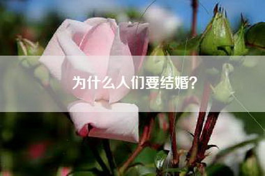 为什么人们要结婚？