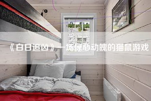 《白日追凶》一场惊心动魄的猫鼠游戏