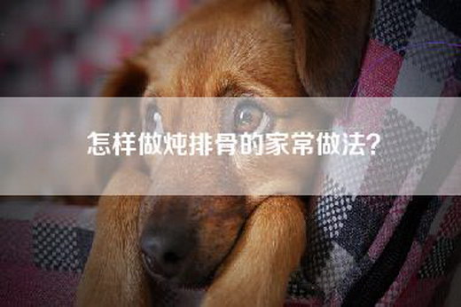 怎样做炖排骨的家常做法？