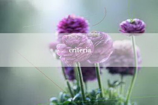 criteria