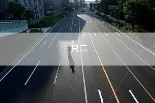 只二
