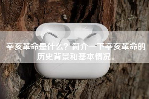 辛亥革命是什么？简介一下辛亥革命的历史背景和基本情况。