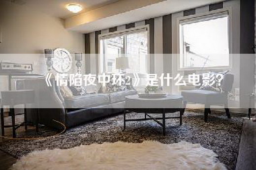 《情陷夜中环2》是什么电影？