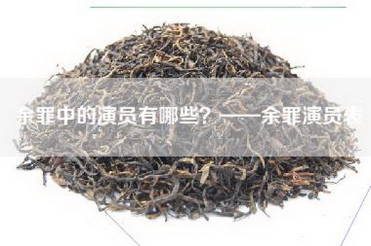 余罪中的演员有哪些？——余罪演员表