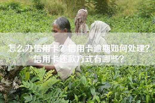 怎么办信用卡？信用卡逾期如何处理？信用卡还款方式有哪些？
