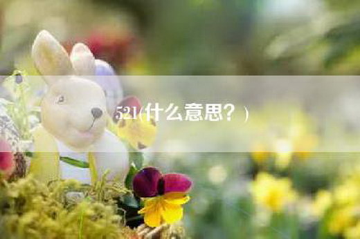 521(什么意思？)