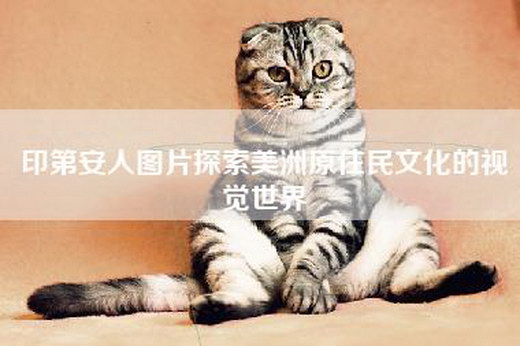 印第安人图片探索美洲原住民文化的视觉世界