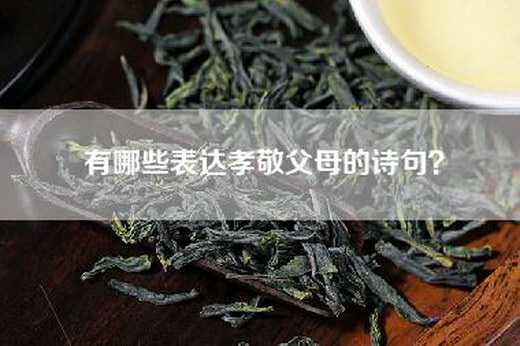 有哪些表达孝敬父母的诗句？