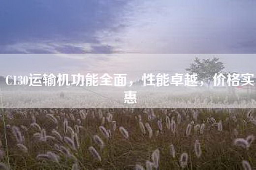 C130运输机功能全面，性能卓越，价格实惠