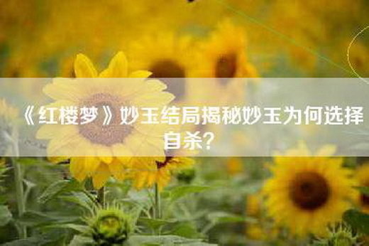 《红楼梦》妙玉结局揭秘妙玉为何选择自杀？