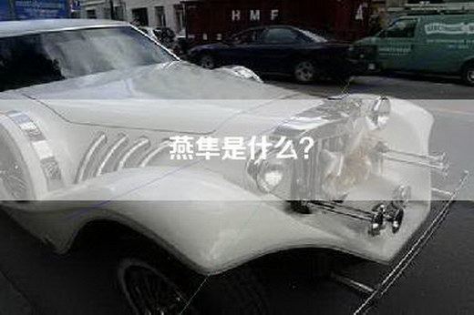 燕隼是什么？