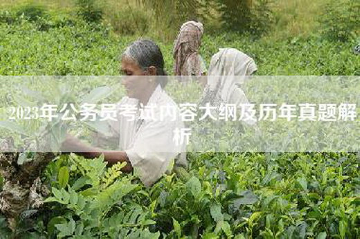 2023年公务员考试内容大纲及历年真题解析