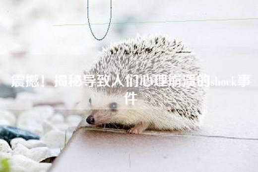 震撼！揭秘导致人们心理崩溃的shock事件
