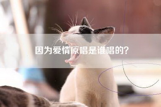 因为爱情原唱是谁唱的？