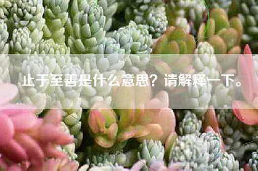 止于至善是什么意思？请解释一下。