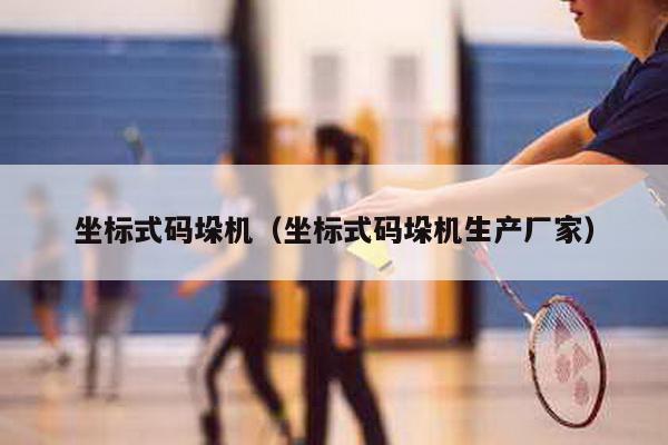 坐标式码垛机（坐标式码垛机生产厂家）