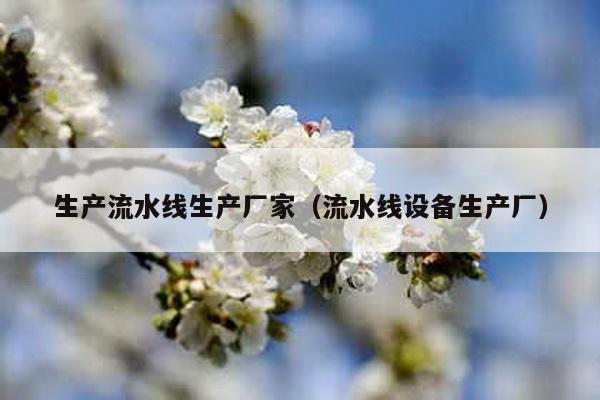生产流水线生产厂家（流水线设备生产厂）