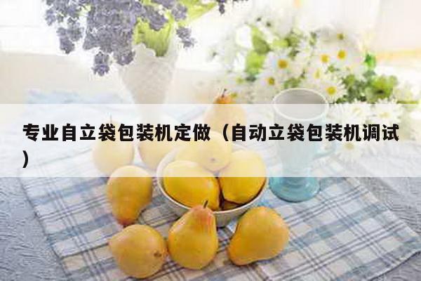 专业自立袋包装机定做（自动立袋包装机调试）
