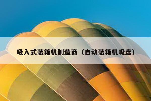 吸入式装箱机制造商（自动装箱机吸盘）