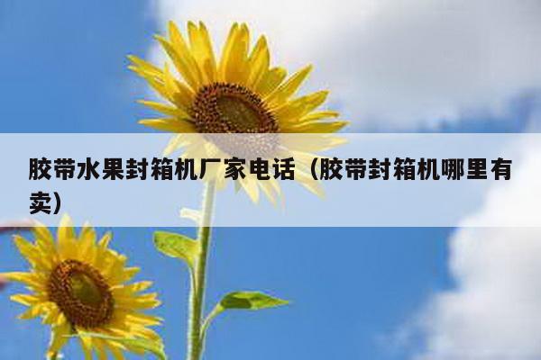 胶带水果封箱机厂家电话（胶带封箱机哪里有卖）