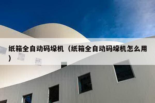 纸箱全自动码垛机（纸箱全自动码垛机怎么用）