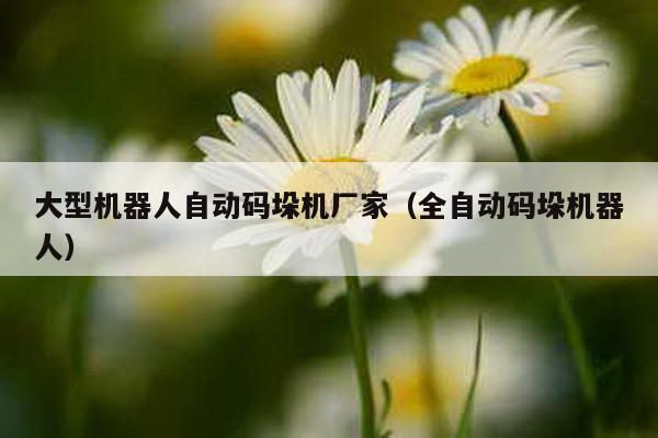 大型机器人自动码垛机厂家（全自动码垛机器人）