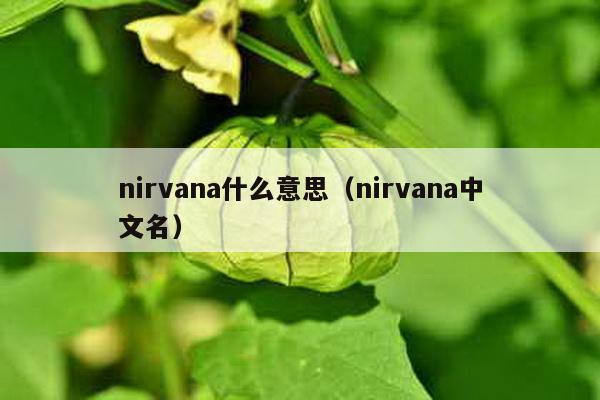 nirvana什么意思（nirvana中文名）