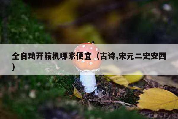 全自动开箱机哪家便宜（古诗,宋元二史安西）