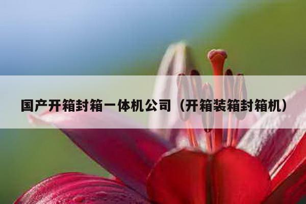 国产开箱封箱一体机公司（开箱装箱封箱机）