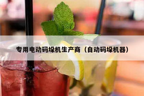 专用电动码垛机生产商（自动码垛机器）