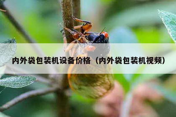 内外袋包装机设备价格（内外袋包装机视频）