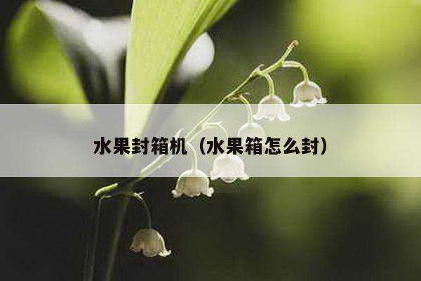 水果封箱机（水果箱怎么封）