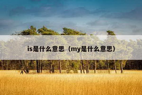 is是什么意思（my是什么意思）