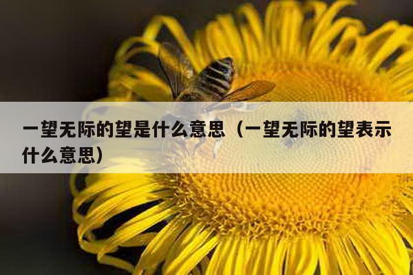 一望无际的望是什么意思（一望无际的望表示什么意思）