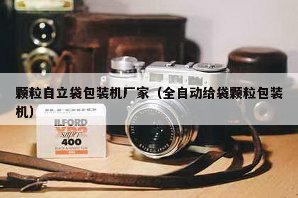 颗粒自立袋包装机厂家（全自动给袋颗粒包装机）