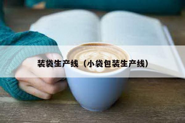 装袋生产线（小袋包装生产线）