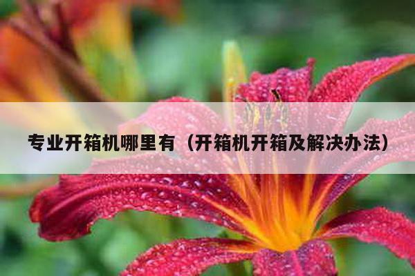 专业开箱机哪里有（开箱机开箱及解决办法）