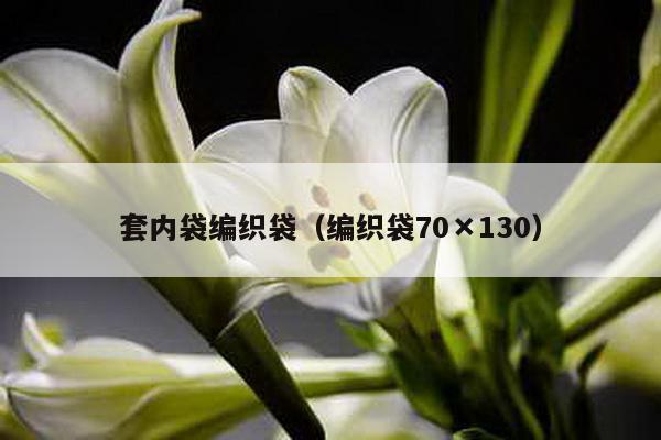 套内袋编织袋（编织袋70×130）