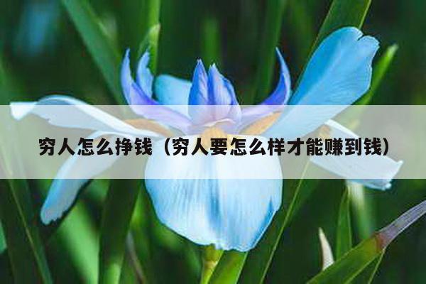 穷人怎么挣钱（穷人要怎么样才能赚到钱）